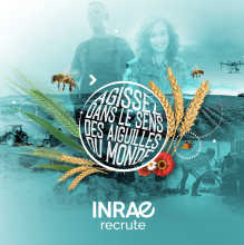 INRAE recrute